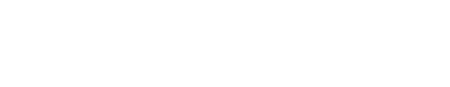 Dan Lok Education logo